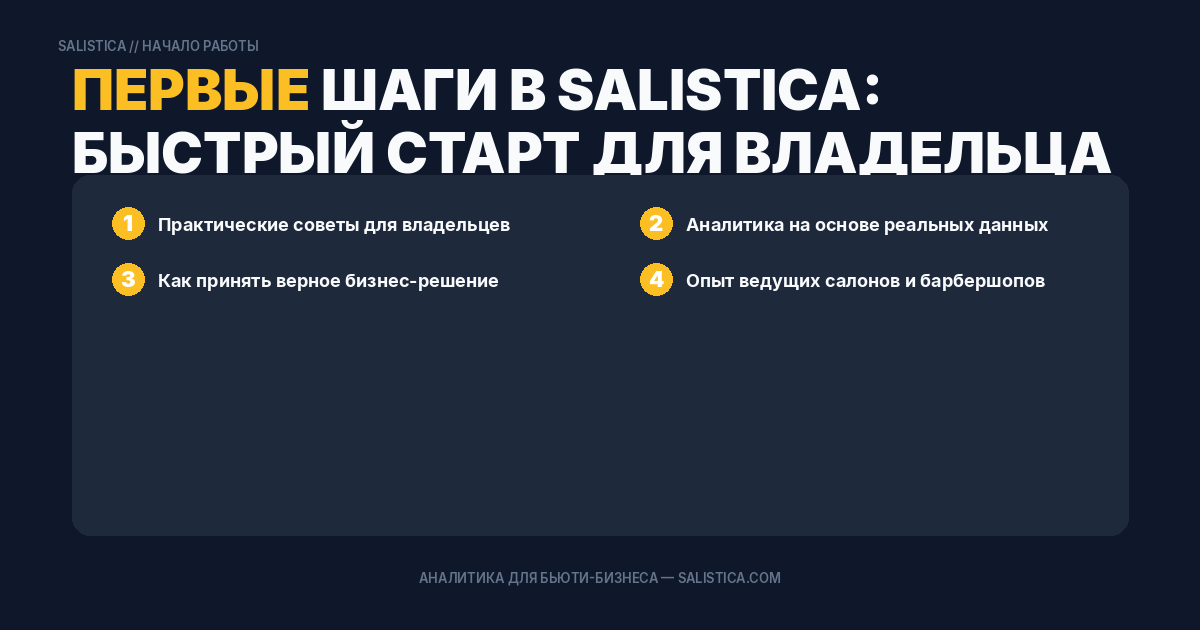 Первые шаги в Salistica: быстрый старт для владельца